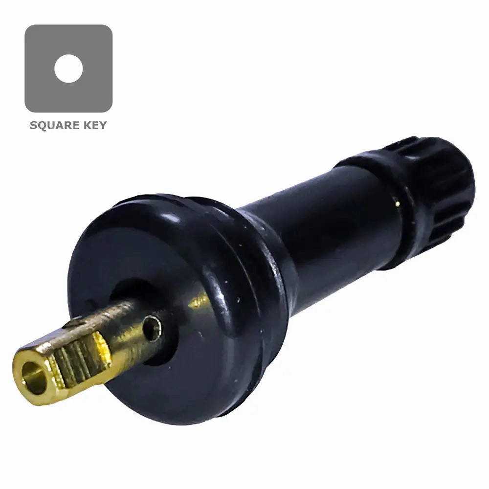 AA 44-20008D TPMS Snap-in Valve Replacement  (.453") (Ea)
