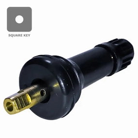 AA 44-20008D TPMS Snap-in Valve Replacement  (.453") (Ea)