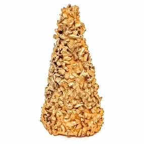 AA Cone Rasp (Ea)