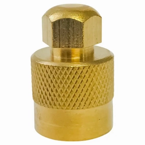 AA Large Bore Hexagonal Top Cap (Ea)