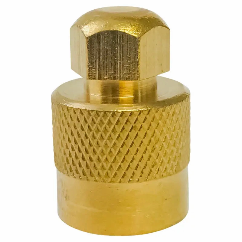 AA Large Bore Hexagonal Top Cap (Ea)