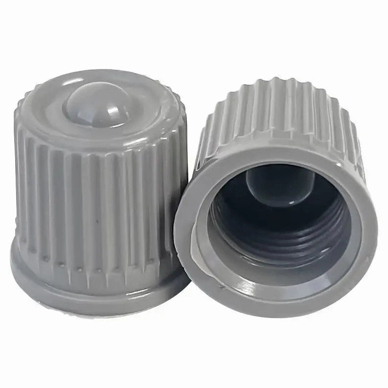 AA Premium Silver TPMS Valve Cap (100/Bag)