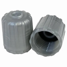 AA Silver TPMS Valve Cap (100/Bag)