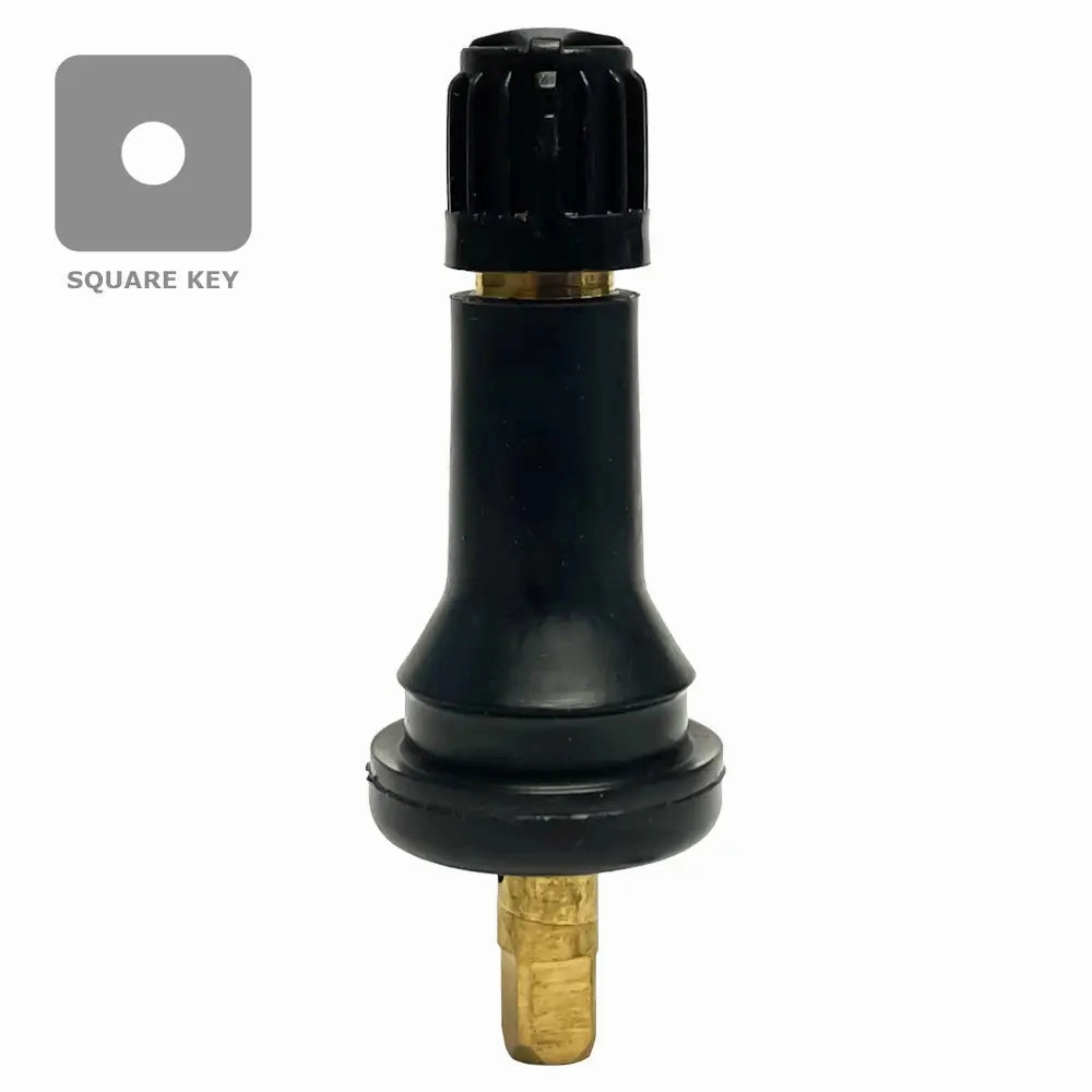 AA TPMS2 Snap-in Valve (.453") (Ea)
