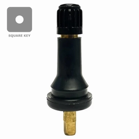 AA TPMS2 Snap-in Valve (.453") (Ea)