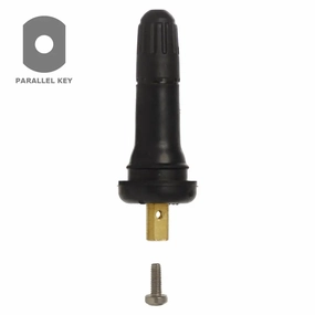 AA TPMS 20008 Snap-in Valve (GM) (.453")