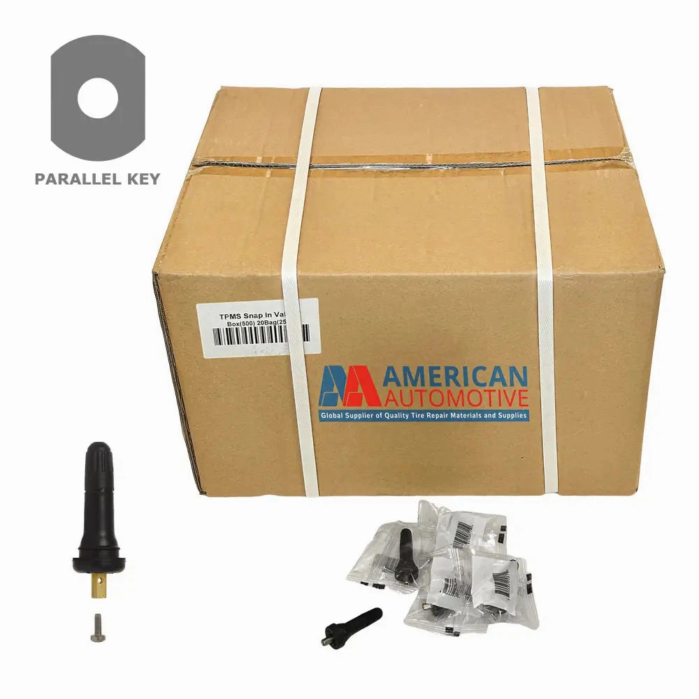 AA TPMS 20008 Snap-in Valve (GM) (.453")