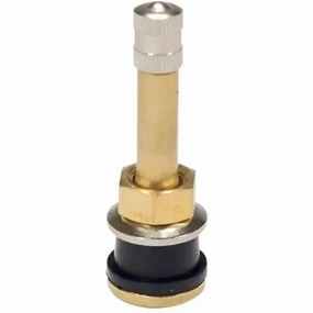 AA TR500 Clamp-In Tubeless Truck Tire Valve (Ea.)