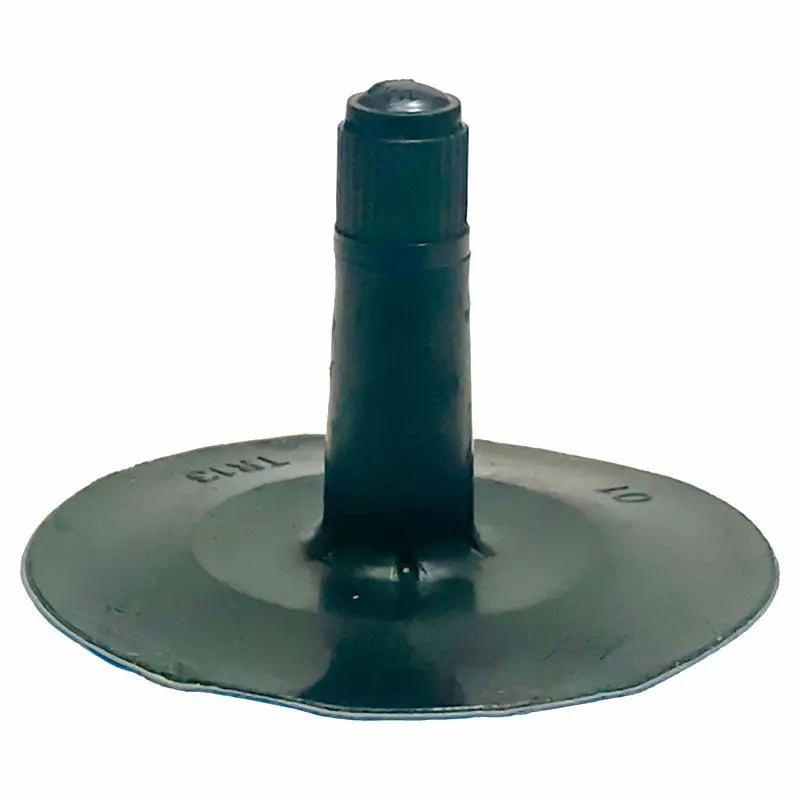 AA Tube Replacement Valve (Ea)