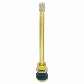 AA Tubeless Truck Tire Valve (Ea)