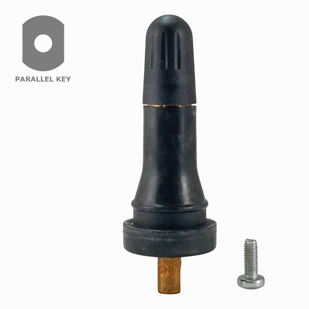 AAValueline TPMS 20008 Snap-in Valve for GM, 0.453" (Bag of 100)