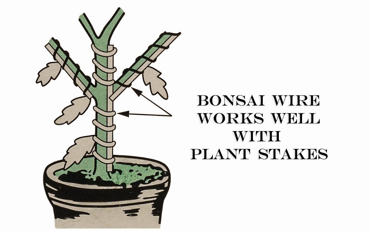 Bonsai Wire ~ 3 mm Diameter - 17' Length