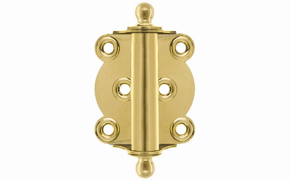 Brass Full Surface Spring Door Hinge with Ball-Tips