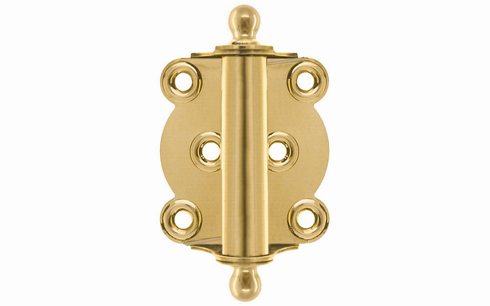 Brass Full Surface Spring Door Hinge with Ball-Tips