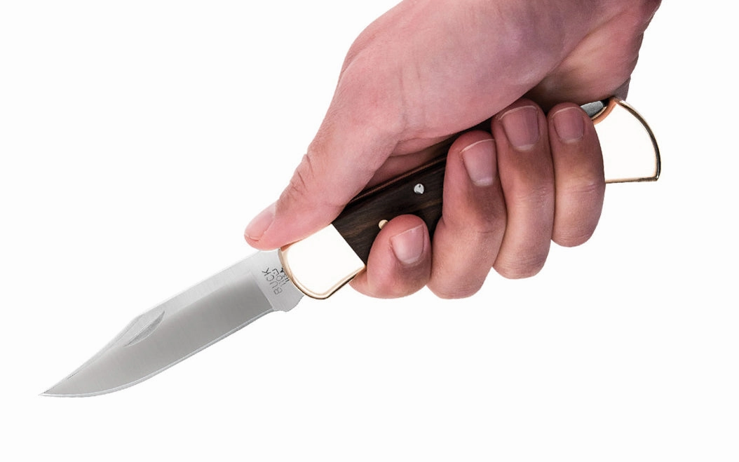 Buck Knives 110 Folding Hunter Knife & Sheath