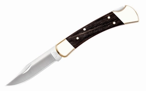 Buck Knives 110 Folding Hunter Knife & Sheath