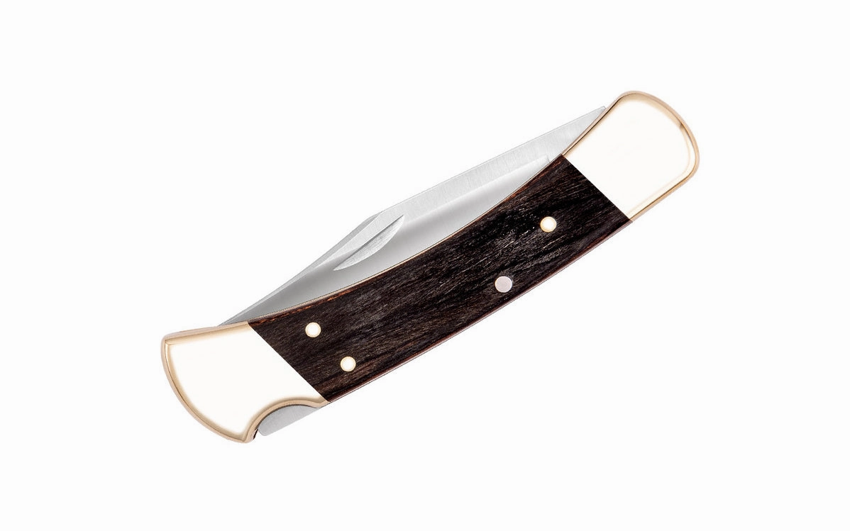 Buck Knives 110 Folding Hunter Knife & Sheath