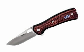 Buck Knives Vantage Avid Small Folding Knife