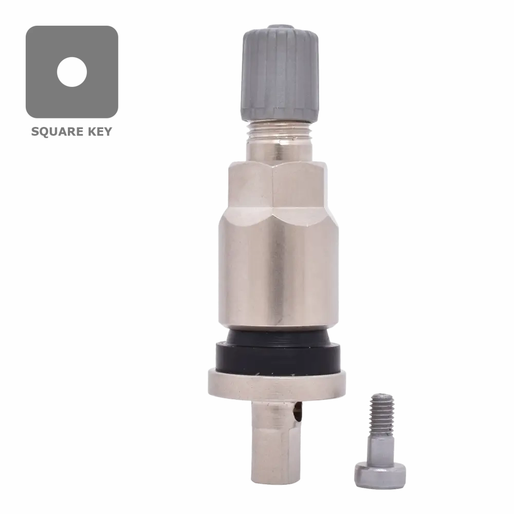 Dill VS240MC TPMS Metal Stem Service Kit for Ford, Lincoln (Ea.)