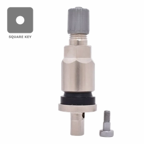 Dill VS240MC TPMS Metal Stem Service Kit for Ford, Lincoln (Ea.)