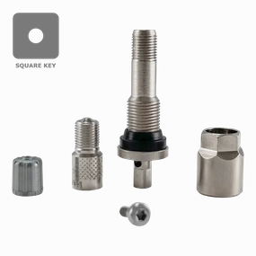 Dill VS241 TPMS Aluminum Stem Service Kit for 2017  Ford Super Duty