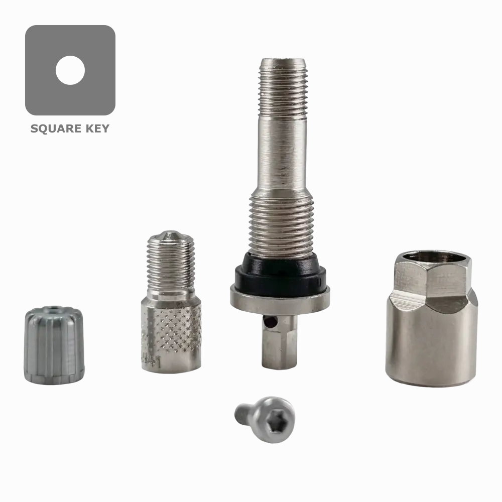 Dill VS241 TPMS Aluminum Stem Service Kit for 2017  Ford Super Duty