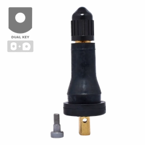 Dill VS-20 TPMS Rubber Snap-in Valves Service Kit for GM, Ford