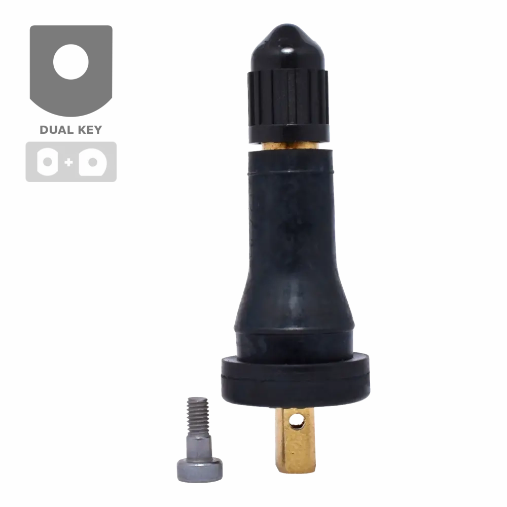 Dill VS-20 TPMS Rubber Snap-in Valves Service Kit for GM, Ford