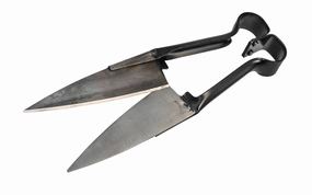 Japanese Carbon Steel Sheep Shear