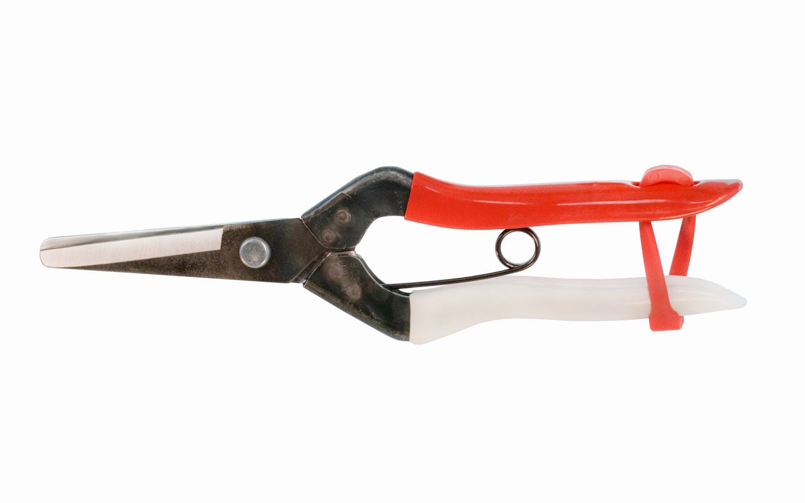 Japanese Okatsune Shears ~ No. 306