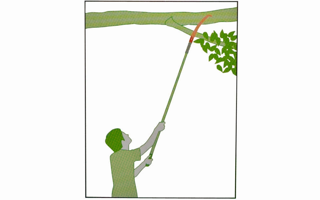 Japanese Outdoor Curved Saw with Hook