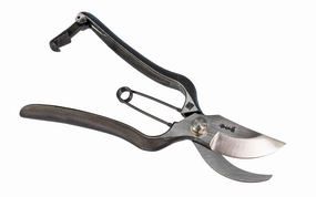 Japanese Professional Kiyohide Forged Pruners