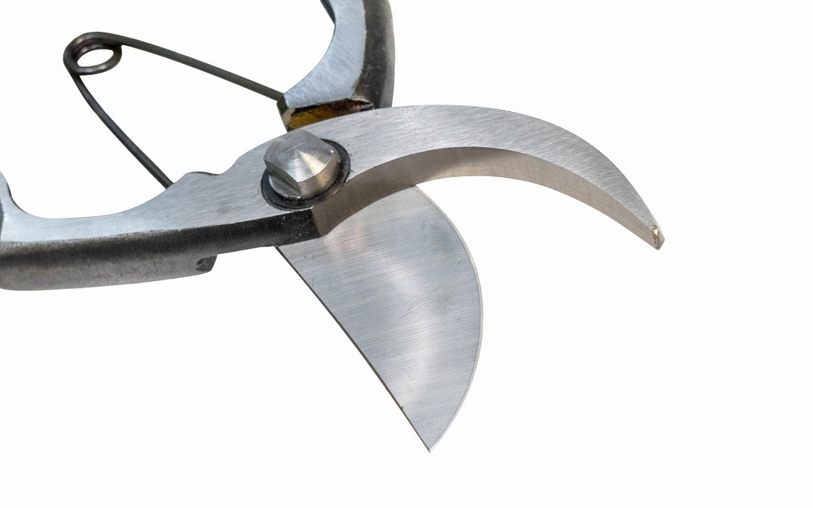 Japanese Professional Onoyoshi Forged Pruners
