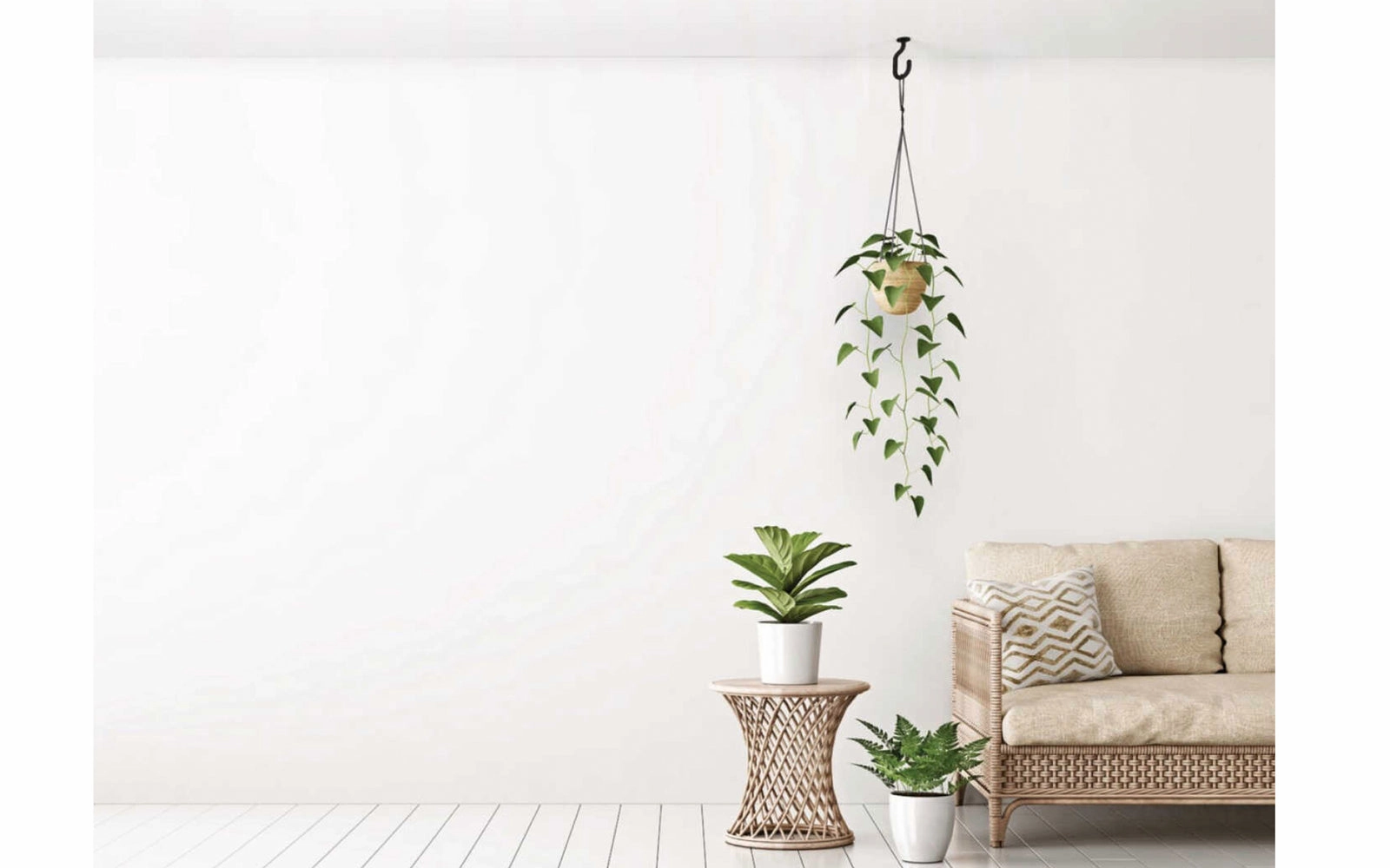 Modern Ceiling Hook - Black Finish