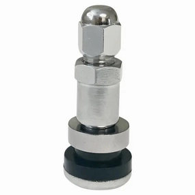 Rema Clamp-In Valve for Ford "F" Series Truck, Dual Wheels (Ea.)