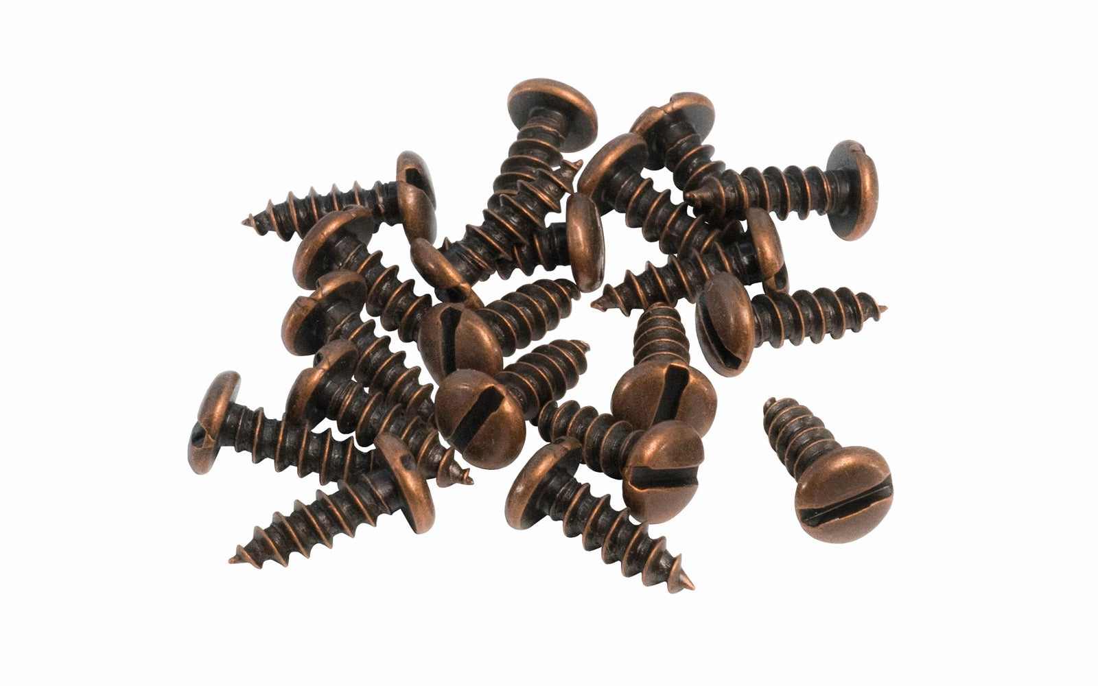 Round Head Slotted Steel Screws ~ Antique Copper Finish