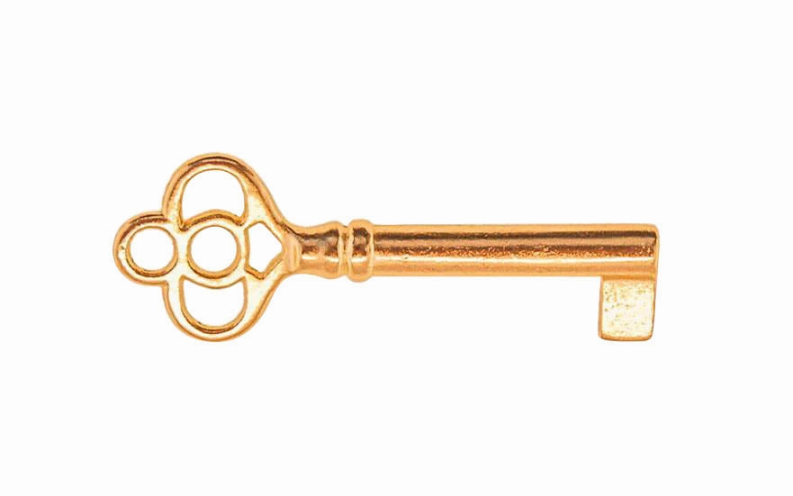Skeleton Key ~ 1/4" x 1/4" Bit
