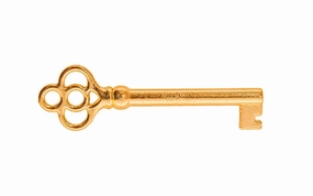 Skeleton Key ~ 1/4" x 1/4" Bit